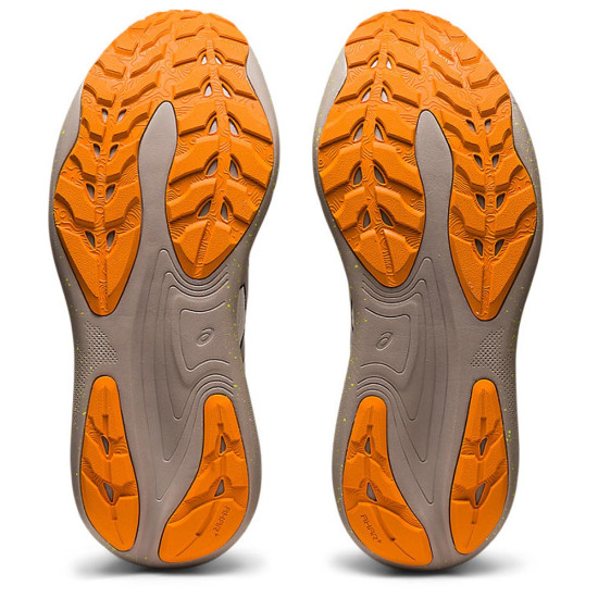 Asics Gel-Nimbus 25 TR